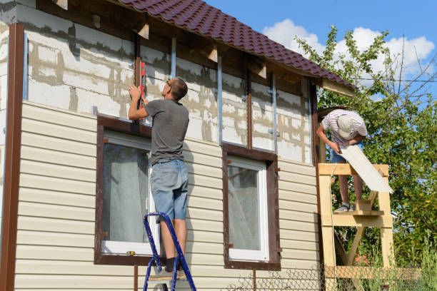 Best Custom Trim and Detailing for Siding  in Pascagoula, MS