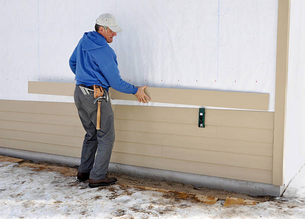 Best Brick Veneer Siding  in Pascagoula, MS